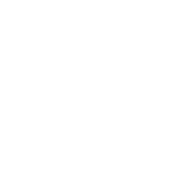 ce logo Rush Valley